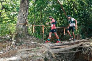 BIB: 
                            <button type="button" onclick="openModal(27801728)" class="btn btn-primary btn-sm float-right btn-popup" data-toggle="modal" data-target=".modal-high-quality">
                        <i class="fas fa-shopping-cart"></i> Add to Cart
                    </button>
                                            <button type="button" onclick="isThisMe(27801728, true)" class="btn btn-success btn-sm float-right btn-popup btn-isme hidden" data-toggle="tooltip" data-placement="bottom" title="นี่คือรูปของคุณใช่ไหม คลิกที่นี่เพื่อเอาเข้าอัลบั้ม">
                        <i class="fas fa-plus"></i> Add to album
                    </button>
                    <button type="button" onclick="isThisMe(27801728, false)" class="btn btn-warning btn-sm float-right btn-popup btn-isnotme hidden">
                        <i class="fas fa-ban"></i> Remove from album
                    </button>